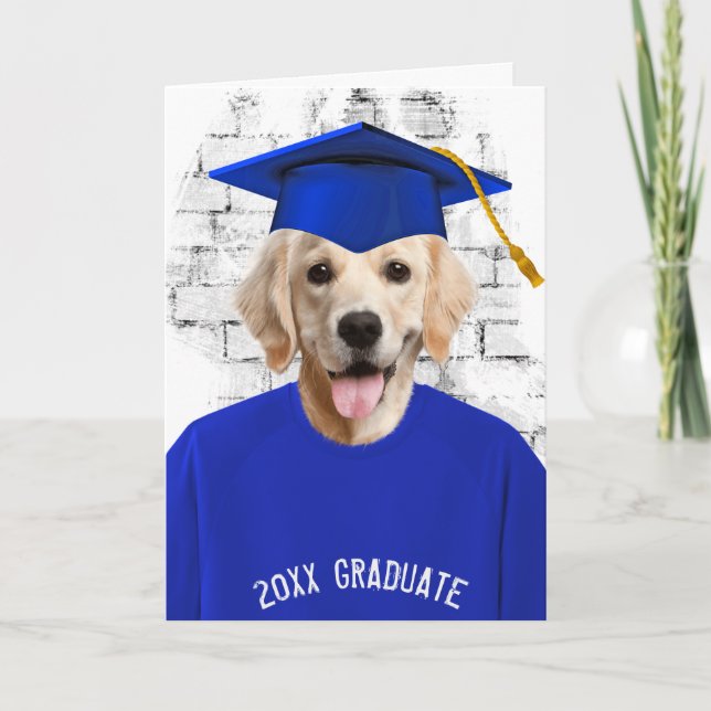 graduation golden retriever in blue t-shirt card (Front)