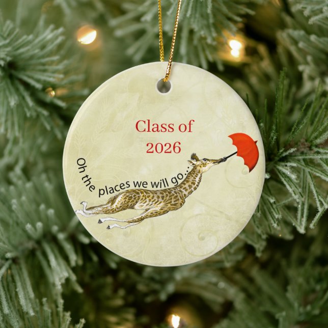 Graduation Photo Christmas Ornaments (Tree)