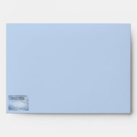 Graduation Royal Terns in Flight Envelope
