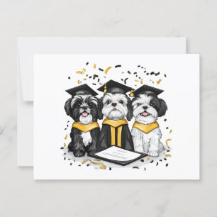 Graduation Shih Tzu Dogs Postcard