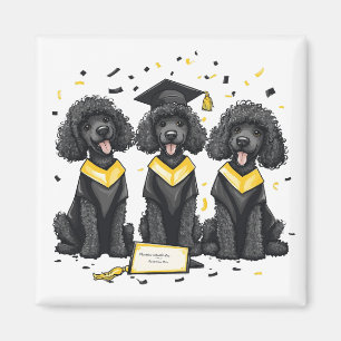 Graduation Standard Poodle Dogs Magnet