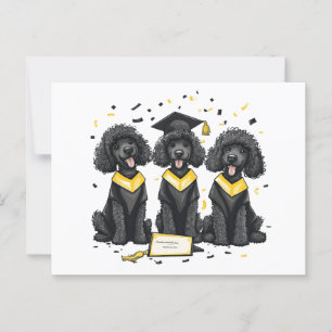 Graduation Standard Poodle Dogs Postcard