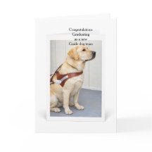Graduation Yellow Labrador New Guide Dog Team