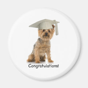 Graduation Yorkie Congratulations Magnet
