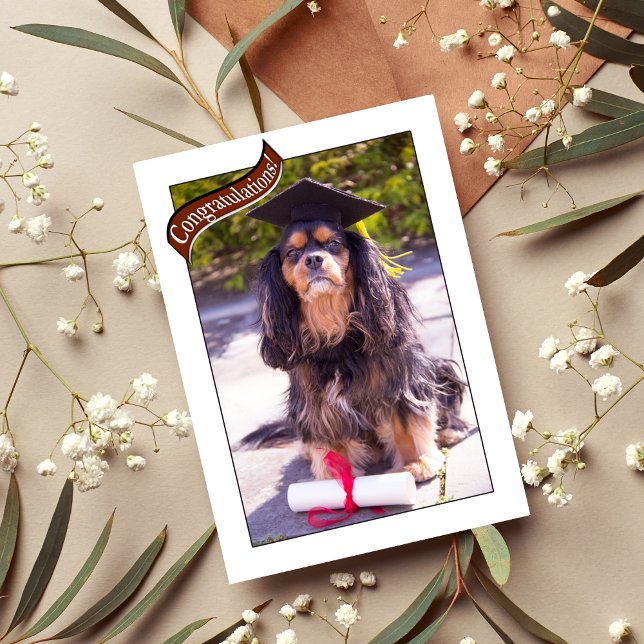 Graduations From Vet School Dog Card (Creator Uploaded)