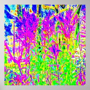 Graffiti n Plants : Humber River Bridge Toronto Poster