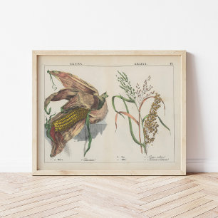 Grains   Charlotte Mary Yonge Poster