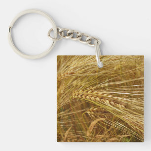 Grains of wheat in the field.  It’s Harvest Time!  Key Ring