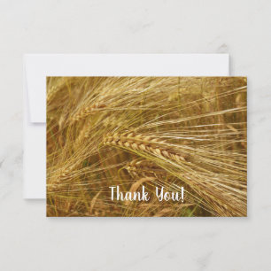 Grains of wheat in the field.  It’s Harvest Time! Thank You Card