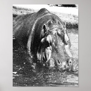 Grainy Black White Hippo Art, Poster