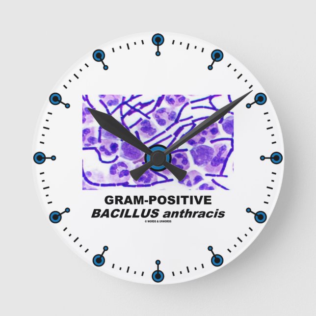Gram-Positive Bacillus anthracis (Bacteria) Round Clock (Front)