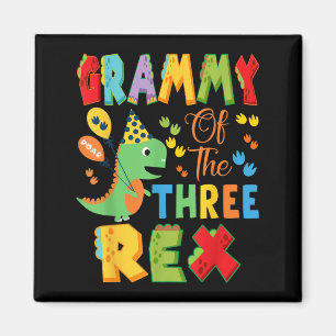 Grammy Of The Three Rex 3rd Birthday Boy Dinosaur Magnet