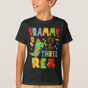 Grammy Of The Three Rex 3rd Birthday Boy Dinosaur  T-Shirt