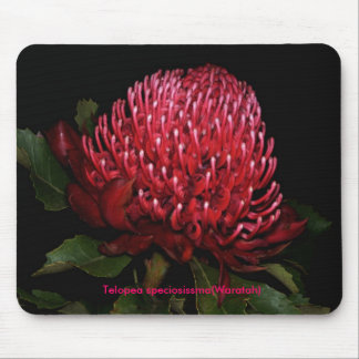 Grand Aussie Lady Mouse Pad
