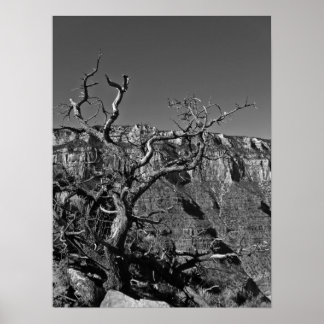 Grand Canyon #1 Poster