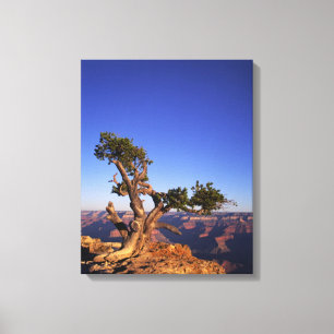 Grand Canyon, Arizona, USA Canvas Print