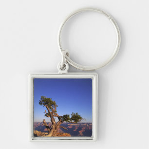 Grand Canyon, Arizona, USA Key Ring