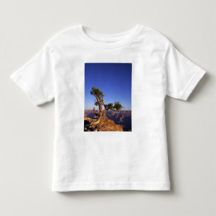 Grand Canyon, Arizona, USA Toddler T-Shirt