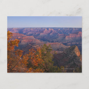 Grand Canyon at Sunrise Postcard