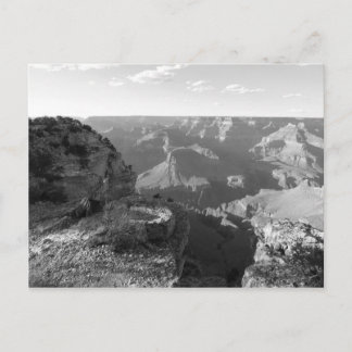 Grand Canyon II Postcard