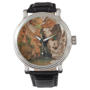 Grand Canyon National Park, Arizona Watch