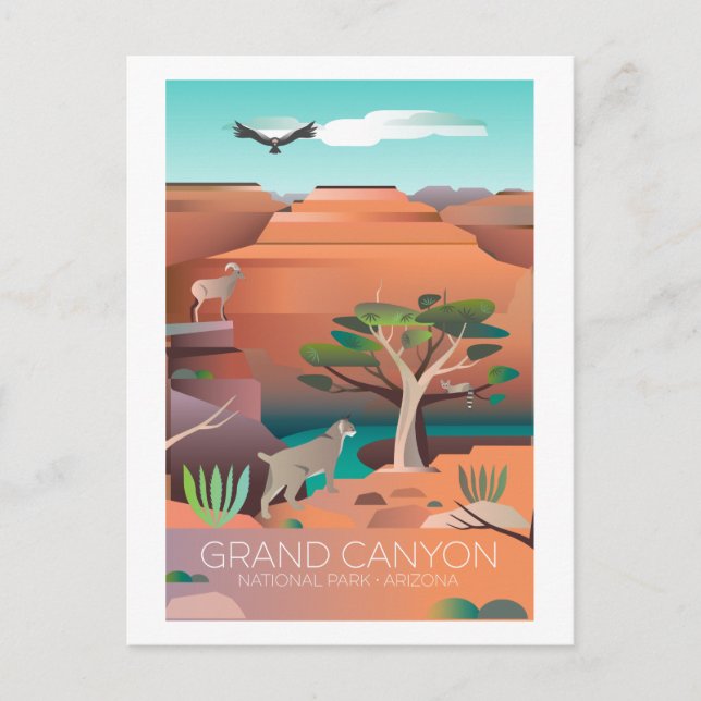 Grand Canyon National Park Postcard (Front)