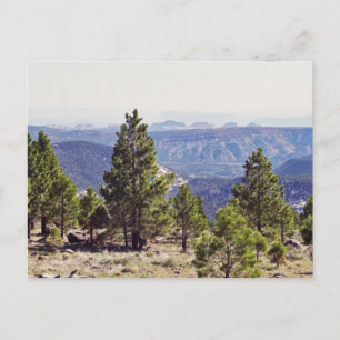 Grand Canyon North Ridge Post Card