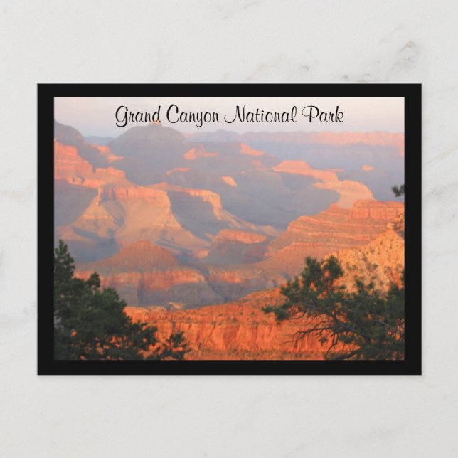 grand canyon np postcard (Front)