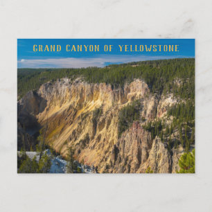 Grand Canyon of the Yellowstone Postcard