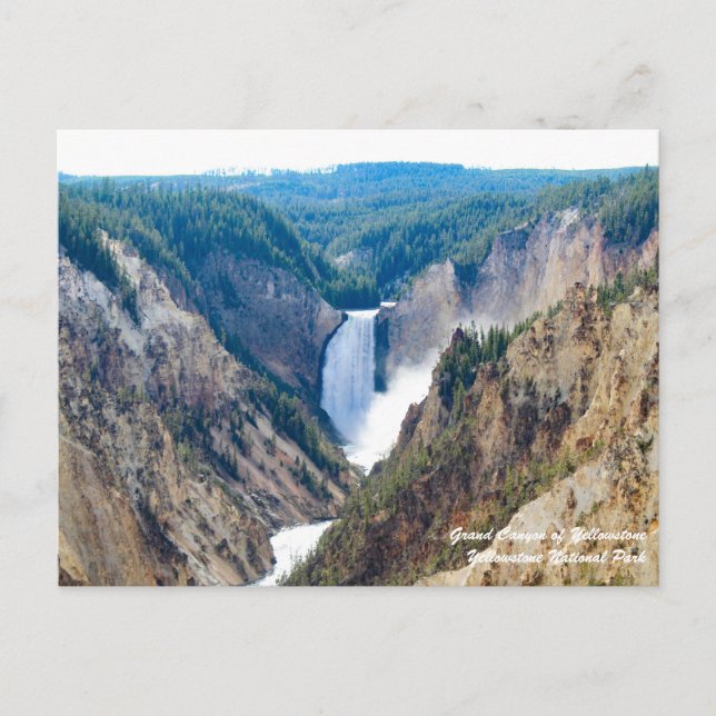 Grand Canyon of Yellowstone Postcard (Front)