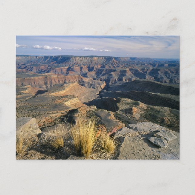 Grand Canyon-Parashant National Monument, 2 Postcard (Front)