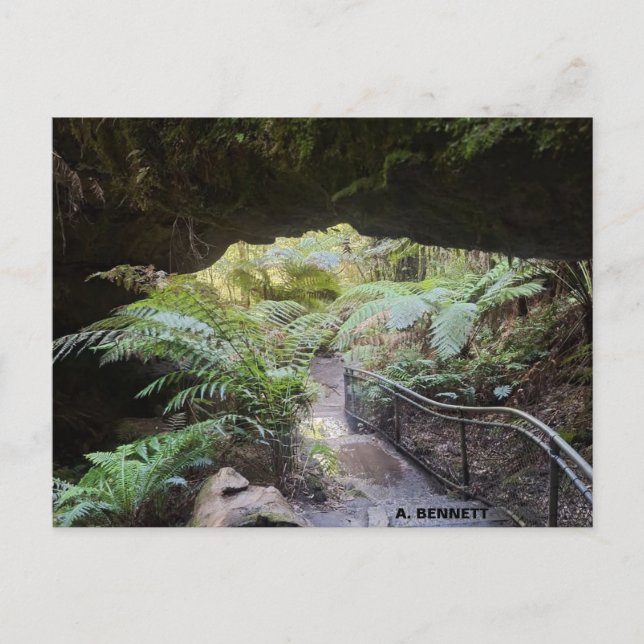 Grand Canyon Postcard (Front)