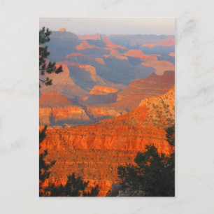 grand canyon postcard