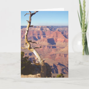 Grand Canyon South Rim Greeting Card