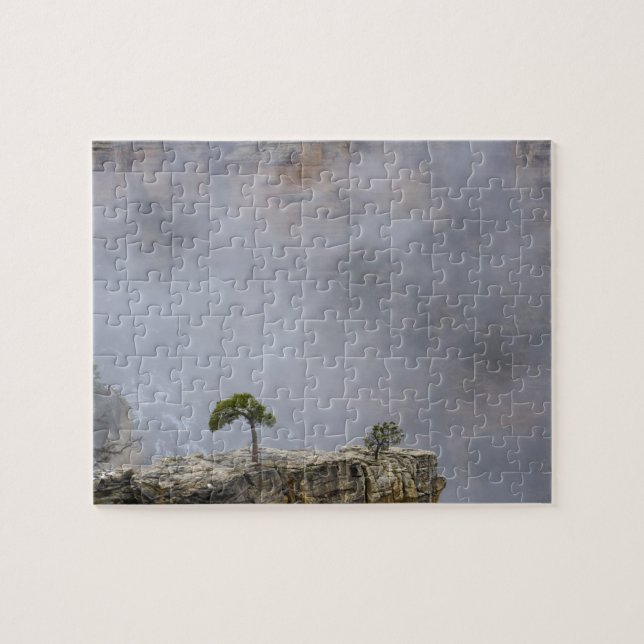 Grand Canyon Tree Puzzle (Horizontal)