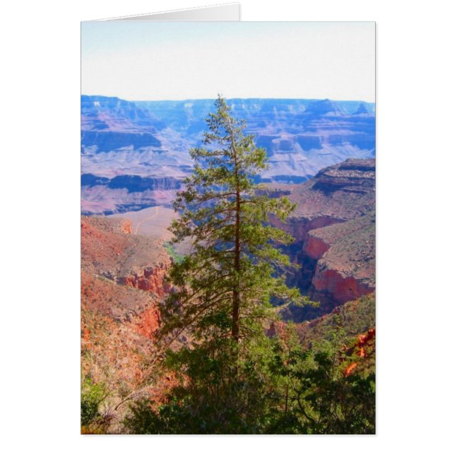 grand canyon tree up (Front)