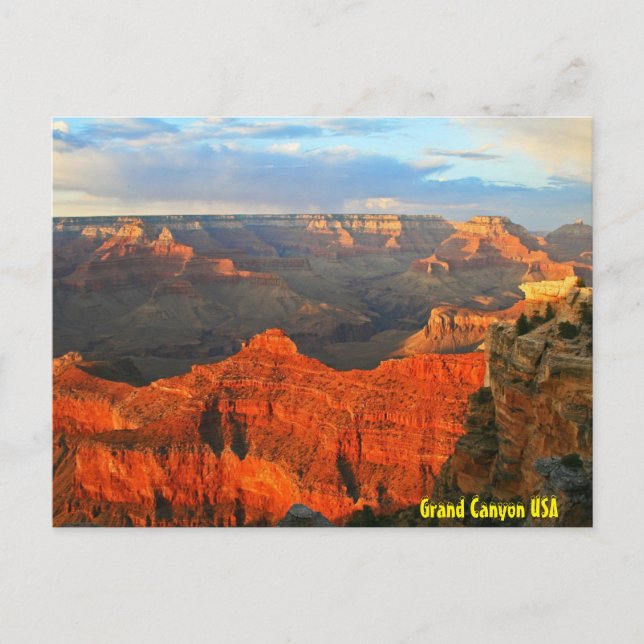 Grand Canyon USA Postcard (Front)