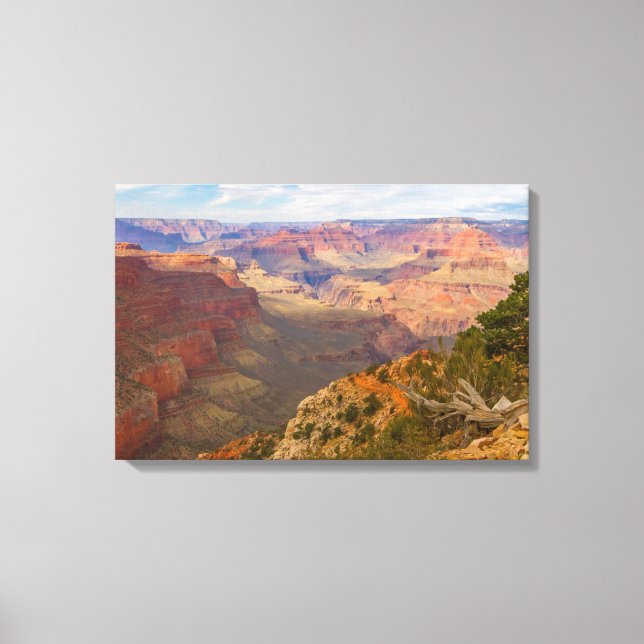 Grand Canyon View Canvas Print (Front)