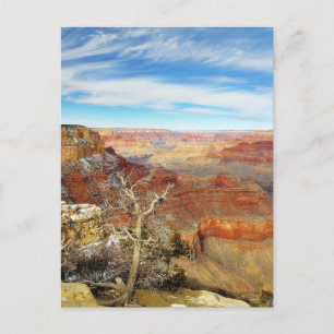 Grand Canyons Arizona Postcard