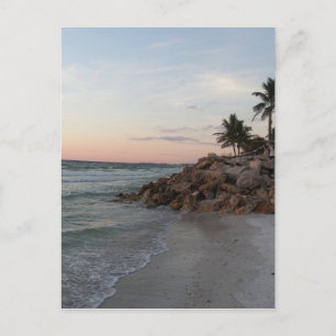 Grand Cayman Island Art Gifts Postcard
