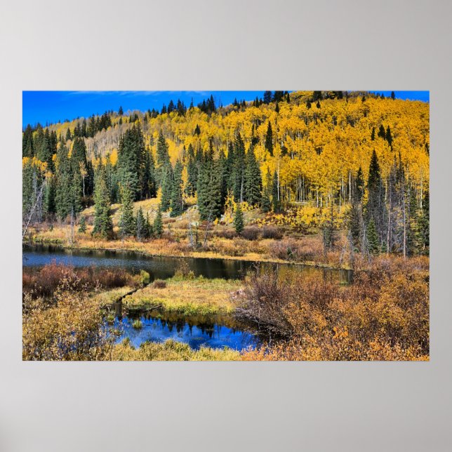 Grand Mesa in Autumn, Western Colorado Poster (Front)