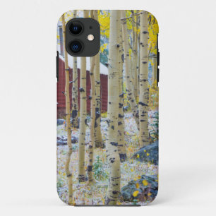 Grand Mesa Solitary cabin in a forest Case-Mate iPhone Case