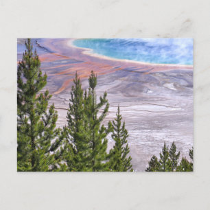 Grand Prismatic Overlook Postcard