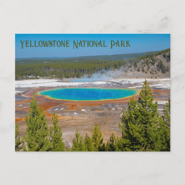 Grand Prismatic Spring Yellowstone National Park Postcard (Front)