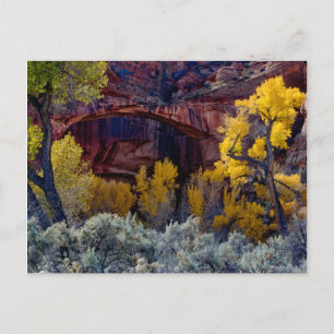Grand Staircase-Escalante National Monument 2 Postcard