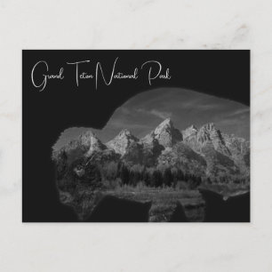 Grand Teton Bison Double Exposure Postcard