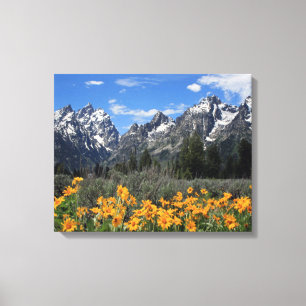 Grand Teton National Park Canvas Print