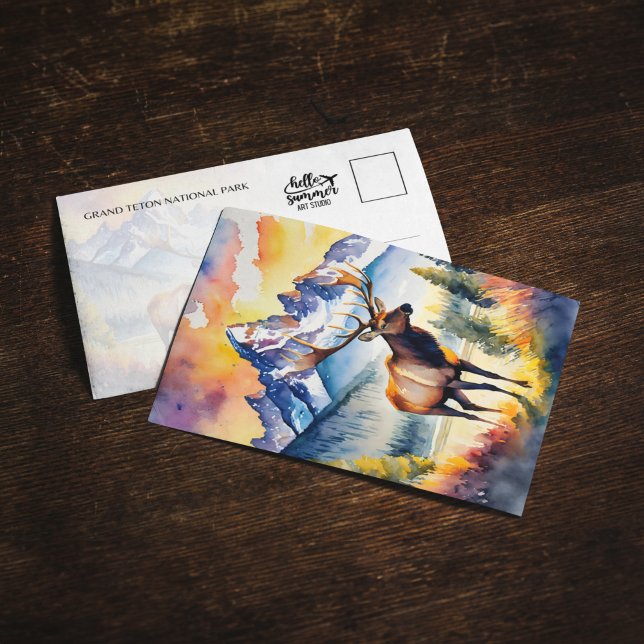 Grand Teton National Park Elk Wyoming Postcard (Creator Uploaded)