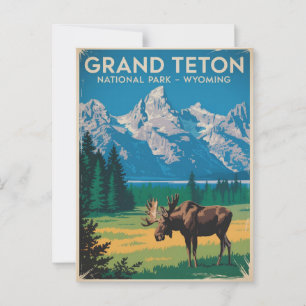 Grand Teton National Park Moose Vintage Travel Postcard