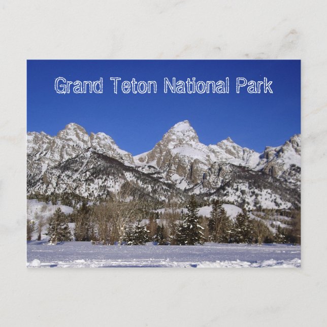 Grand Teton National Park Postcard (Front)